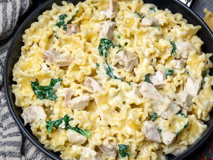 Creamy Leftover Turkey Pasta – Skinny Spatula