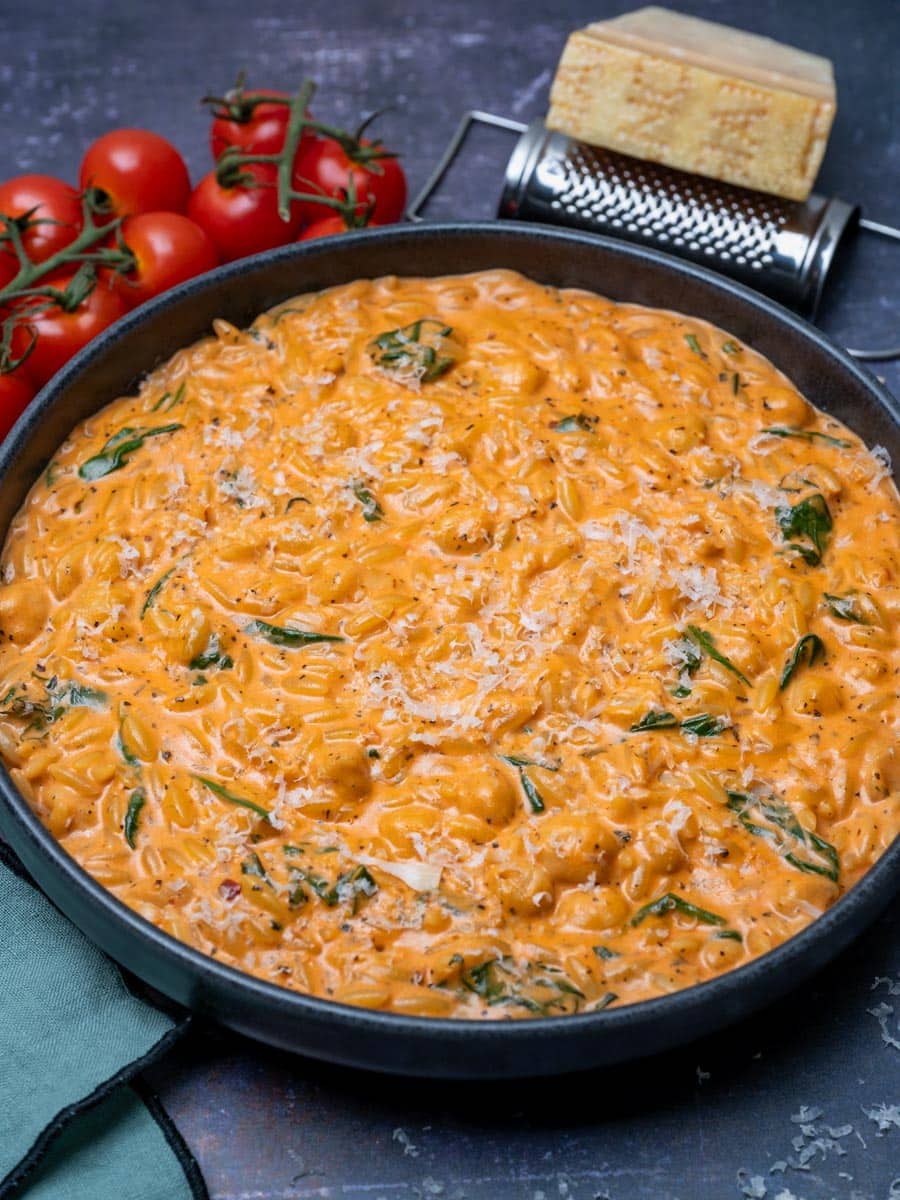 Close up photo of a bowl of tomato orzo