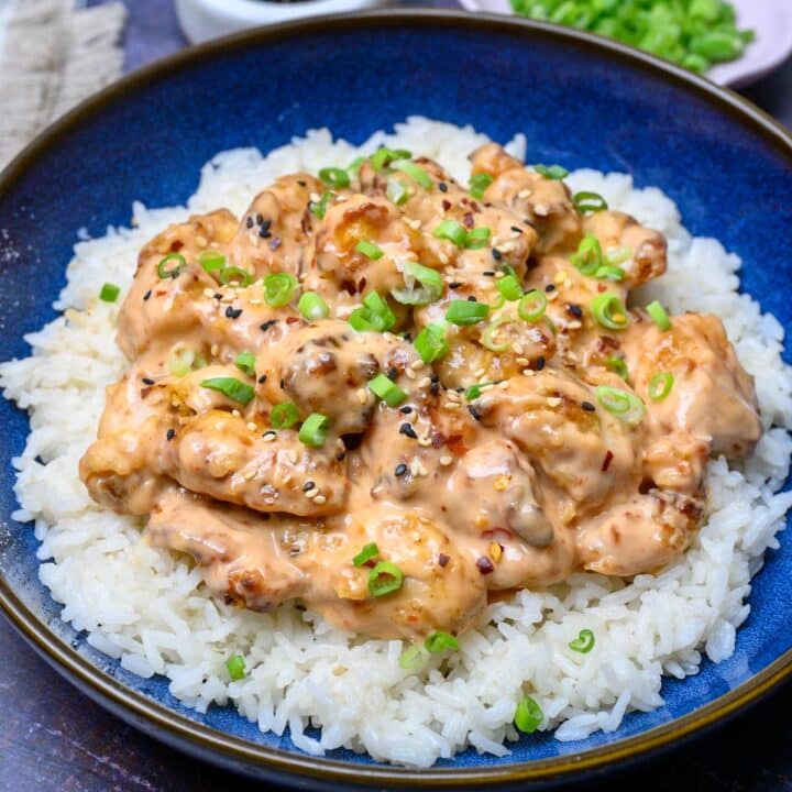 close up photo of pieces of meat and rice